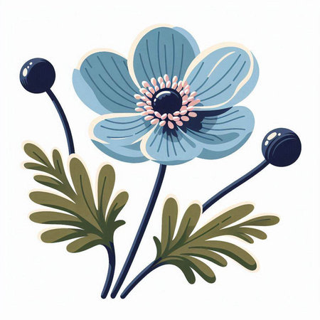 vector illustration of a blue anemone flower on a white backgroundのイラスト素材