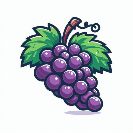 Grape fruit vector illustration. Vector illustration of a bunch of grapes.のイラスト素材
