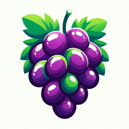 Grapes isolated on a white background. Vector illustration. Eps 10.のイラスト素材