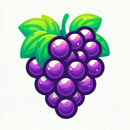 Grapes fruit icon isolated on white background. Vector illustration.のイラスト素材