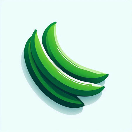 Plumeria flower on white background. Vector illustration in cartoon style.のイラスト素材