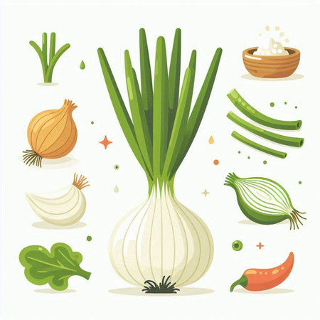 Illustration of green onion, garlic, pepper, parsley, onion, radish, lettuce.のイラスト素材