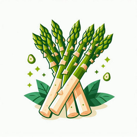 Bunch of green asparagus with leaves isolated on white backgroundのイラスト素材