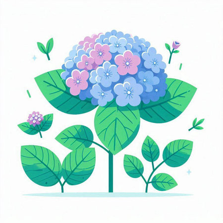 Hydrangea flowers and leaves on white background. Vector illustration.のイラスト素材