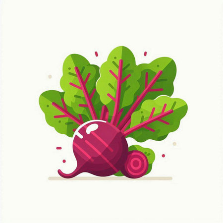 Beetroot icon isolated on white background. Vegetable vector illustration.のイラスト素材