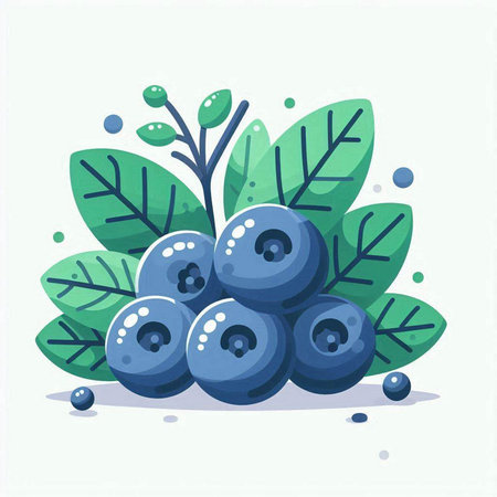 Blueberry vector illustration. Fresh ripe berry with green leaves.のイラスト素材