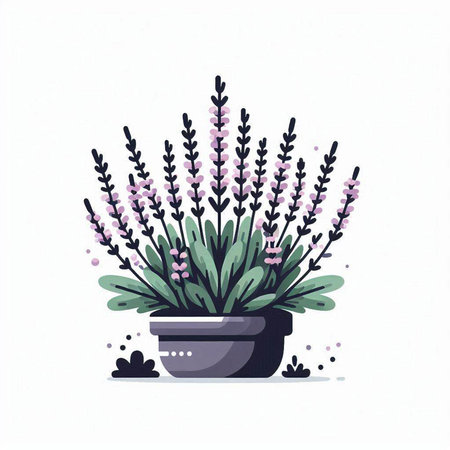 Flowerpot with lavender. Vector illustration in cartoon style.のイラスト素材