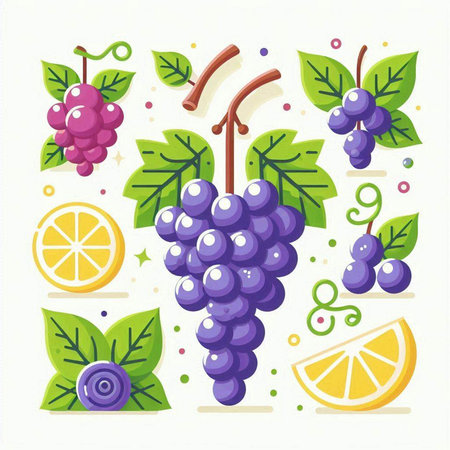 Grapes with leaves and fruits. Vector illustration in flat style.のイラスト素材