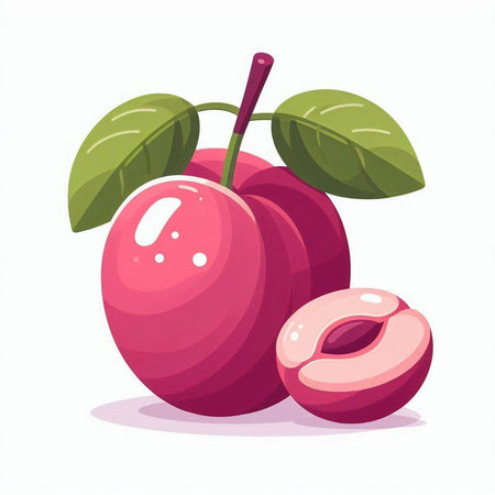 Plum. Vector illustration. Isolated on a white background.のイラスト素材