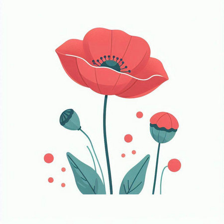 Red poppy flower isolated on white background. Hand drawn vector illustration.のイラスト素材