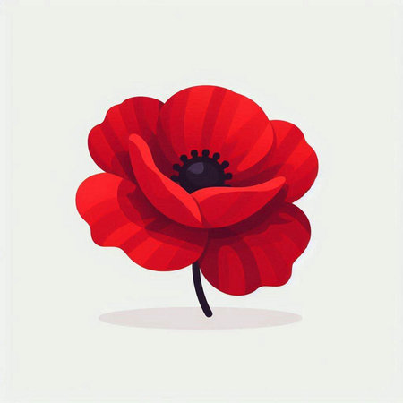 Red Poppy. Vector illustration. Isolated on white background.のイラスト素材