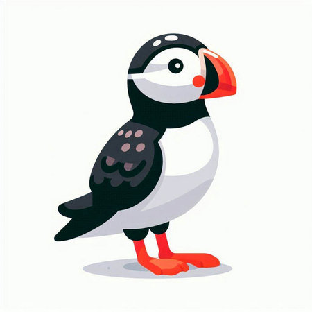 Puffin isolated on white background. Cute cartoon vector illustration.のイラスト素材