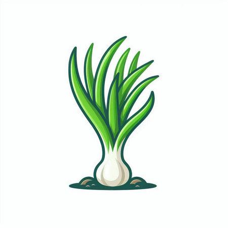 Green onion isolated on white background. Vector illustration in cartoon style.のイラスト素材