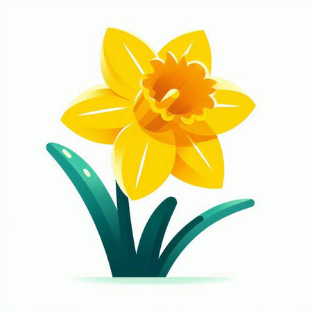 Yellow daffodil isolated on white background. Vector illustration.のイラスト素材