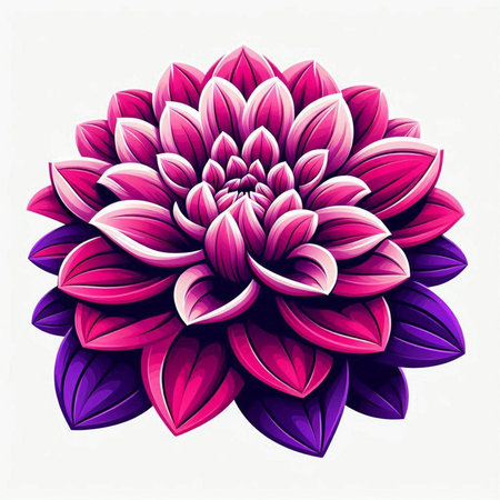 Beautiful pink dahlia flower isolated on white background. Vector illustration.のイラスト素材
