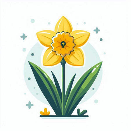 Flower daffodil. Vector illustration in flat style.のイラスト素材