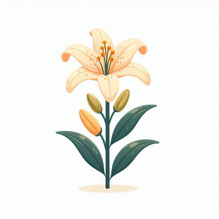 Lily flower isolated on white background. Vector illustration in cartoon style.のイラスト素材