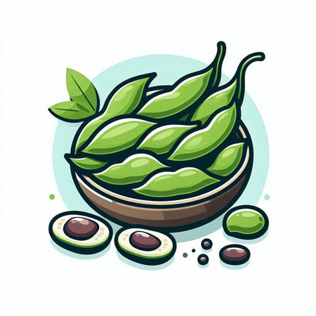Bowl of green soybeans on white background. Vector illustration.のイラスト素材