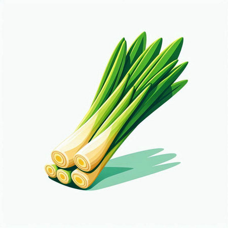 leek isolated on white background. Vector illustration. Eps 10.のイラスト素材