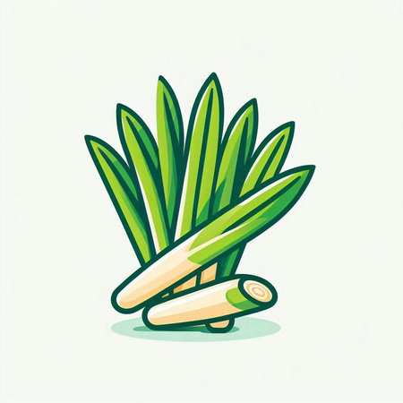 Sugar cane vector illustration. Isolated on a white background.のイラスト素材