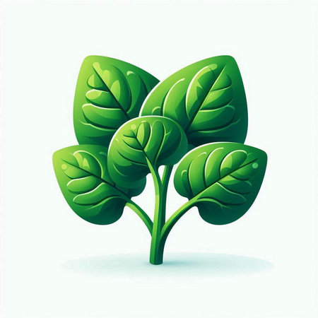 Illustration of a green plant with leaves on a white background.のイラスト素材