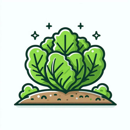 Cabbage vector illustration. Cabbage icon. Vegetable icon.のイラスト素材