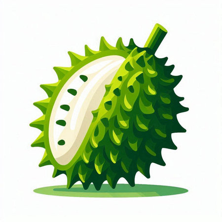 Ripe durian fruit isolated on white background. Vector illustration.のイラスト素材