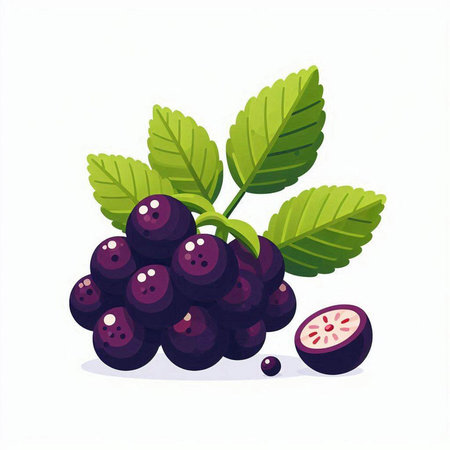 Ripe black currant berries with green leaves. Vector illustration.のイラスト素材