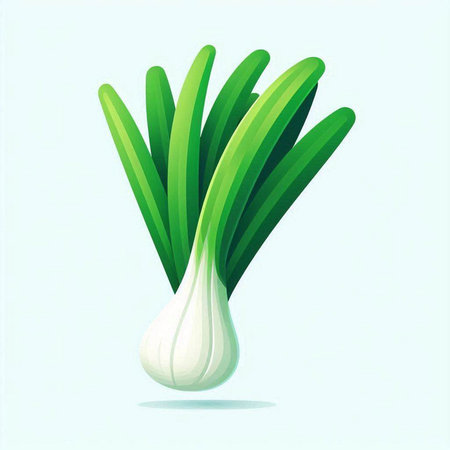 Illustration of fresh green onion on white background. Vector illustration.のイラスト素材