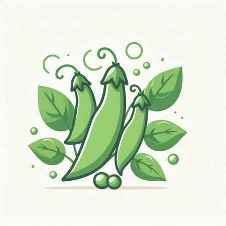 Peas with green leaves, vector illustration, eps 10.のイラスト素材