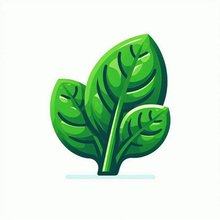 Green leaf icon, isolated on white background. Vector illustration. Eps 10.のイラスト素材