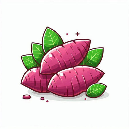 Illustration of yam isolated on a white background. Vector illustration.のイラスト素材