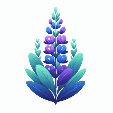 Lupine flower vector illustration isolated on white background. Purple and blue lupine flower.のイラスト素材