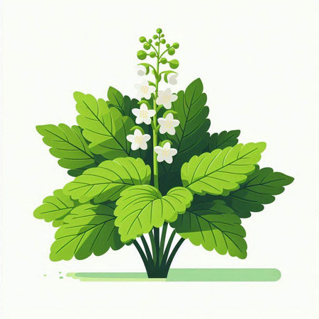 Bouquet of white flowers and green leaves. Vector illustration.のイラスト素材