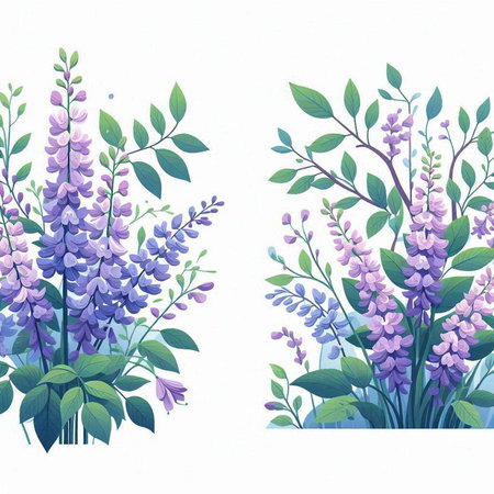 Vector illustration of a bouquet of purple lupine flowers.のイラスト素材