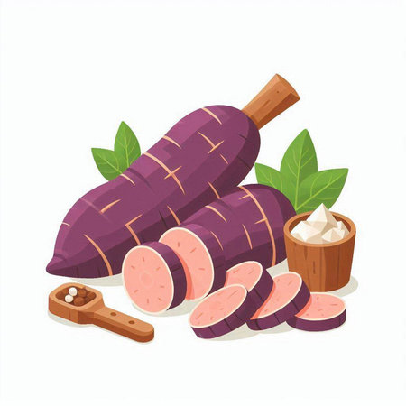 Illustration of purple sweet potato on white background. Vector illustration.のイラスト素材