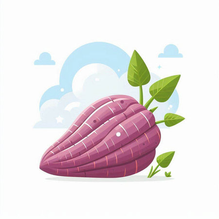 Purple sweet potato with leaves isolated on white background. Vector illustration.のイラスト素材