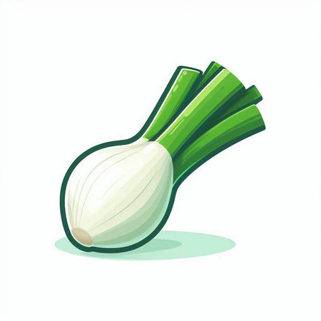Illustration of a fresh green onion isolated on a white background.のイラスト素材