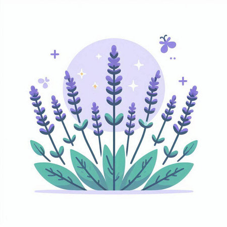 Lavender flowers. Hand drawn vector illustration in cartoon style.のイラスト素材
