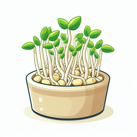 Illustration of a fresh sprouts in a pot on a white backgroundのイラスト素材
