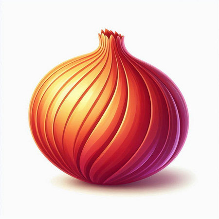 Illustration of red onion on a white background. Vector image.のイラスト素材
