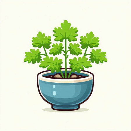 Parsley in a pot on a white background. Vector illustration.のイラスト素材