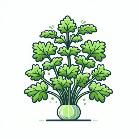 Parsley in a pot on a white background. Vector illustration.のイラスト素材