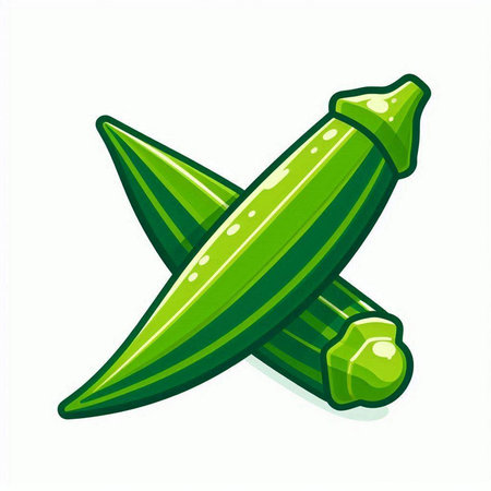 Illustration of fresh green okra on a white background - vectorのイラスト素材