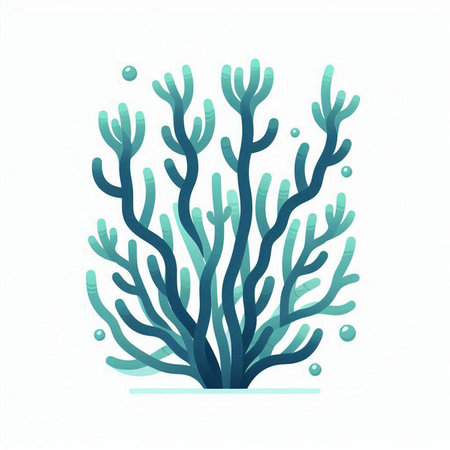 Vector illustration of a seaweed isolated on a white background. Eps 10のイラスト素材