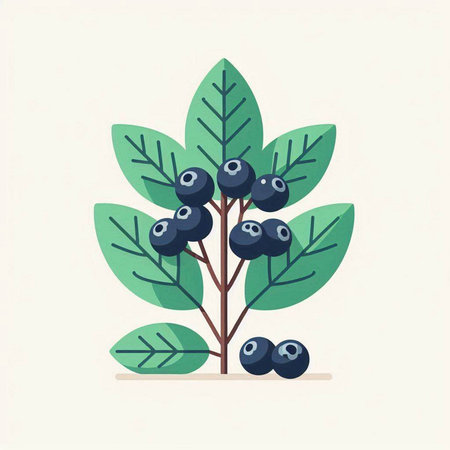 Blueberry tree with berries and leaves. Flat style vector illustration.のイラスト素材