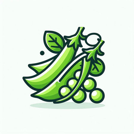 Peas vector icon. Vector illustration of fresh green peas with leaves.のイラスト素材