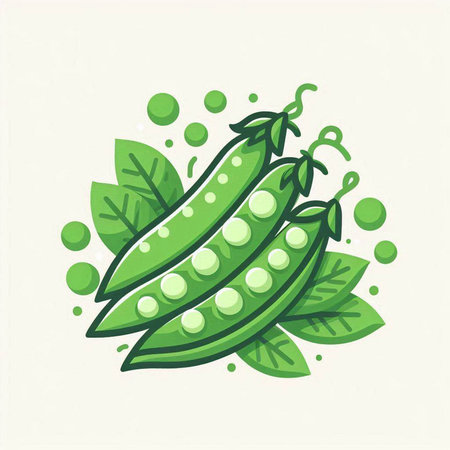 Green peas with green leaves and drops of water. Vector illustration.のイラスト素材