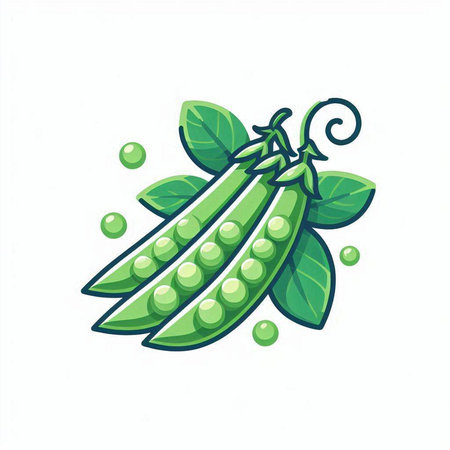 Soccer ball in circle shape with sport icons. Vector illustration.のイラスト素材