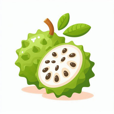 Custard apple fruit isolated on white background. Vector illustration.のイラスト素材